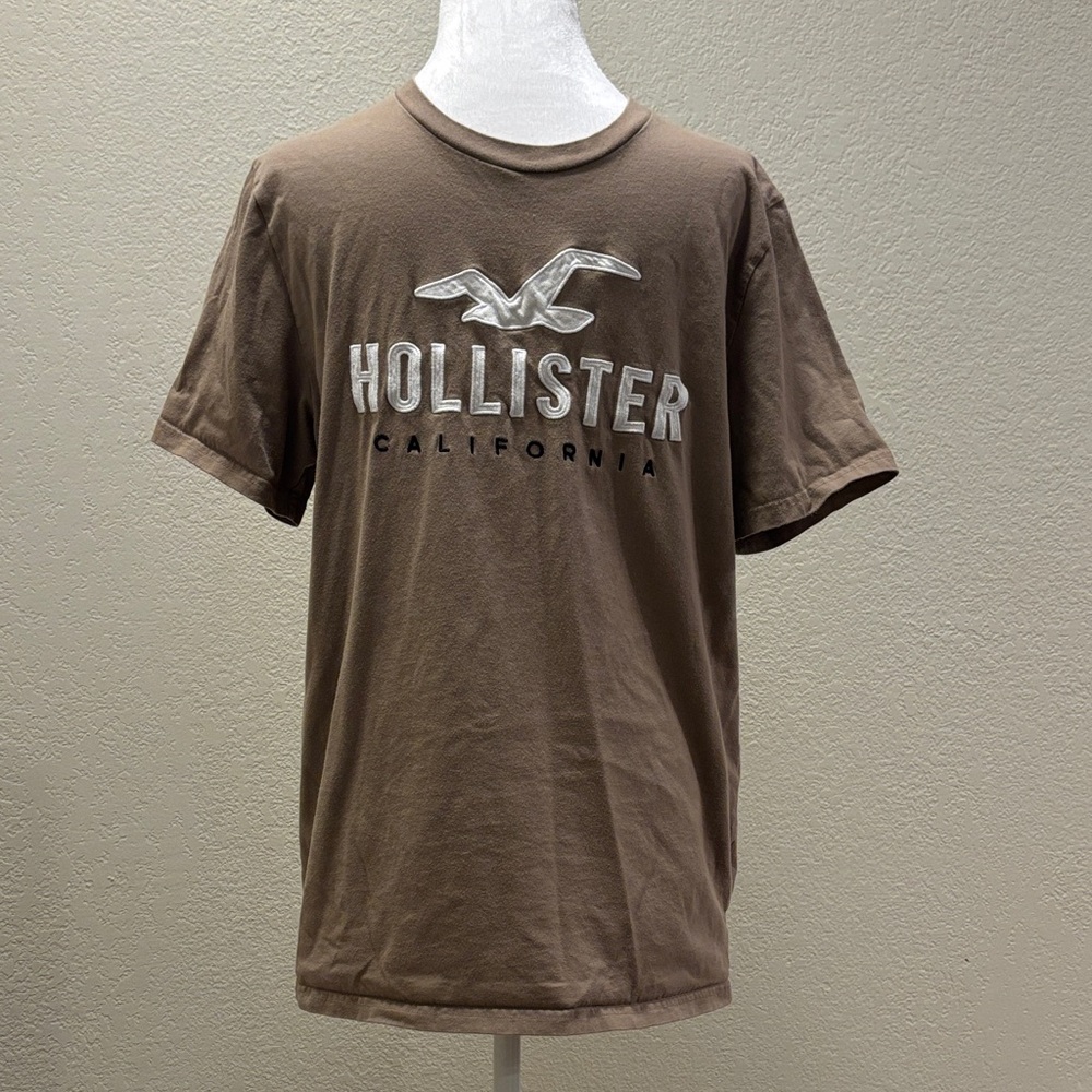 Hollister Men's Short Sleeve Brown Tee
